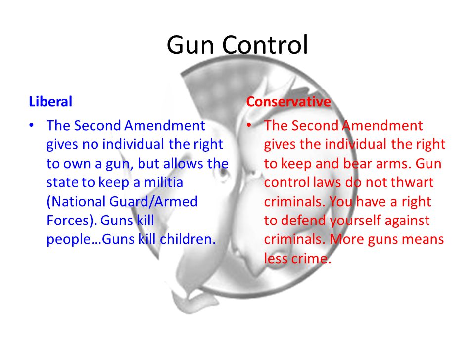 Get writing services gun control powerpoint presentation double spaced US Letter Size
